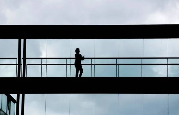 Vista Silhueta Uma Jovem Empresária Num Moderno Edifício Escritórios Interior — Fotografia de Stock