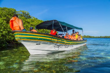 Bocas Del Toro, Panama: Bocas del Toro, Panama 'da deniz yaşamı arayan turistler