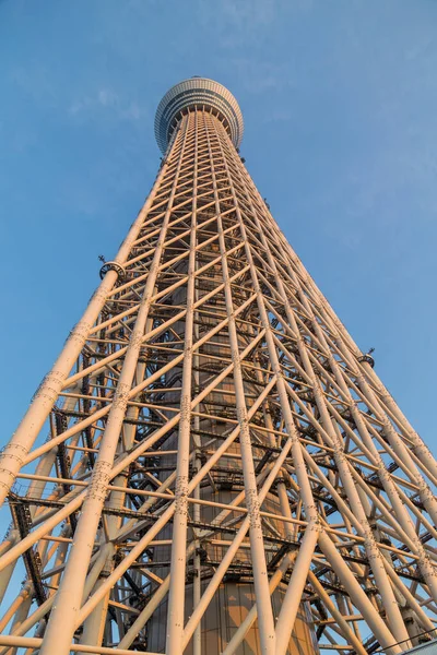 Tóquio Japão Vista Tokyo Sky Tree Mais Alta Estrutura Autônoma — Fotografia de Stock