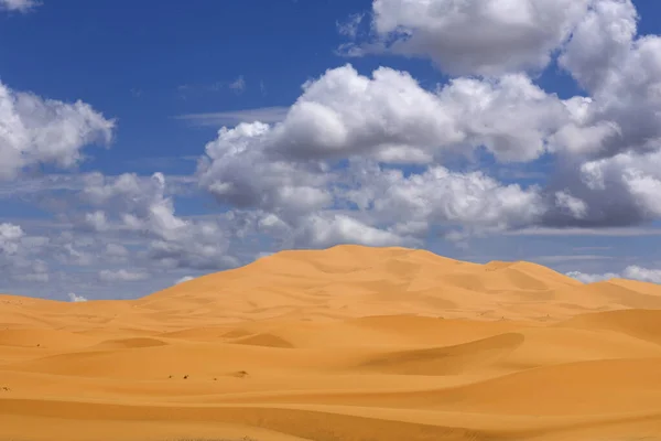 Αμμόλοφους Της Ερήμου Σαχάρα Στο Μαρόκο — Φωτογραφία Αρχείου