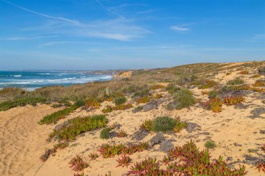 Atlantik kayalık kıyı manzarası, Alentejo, Portekiz.