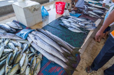 Hodeida 'daki balık pazarı Kızıl Deniz, Yemen