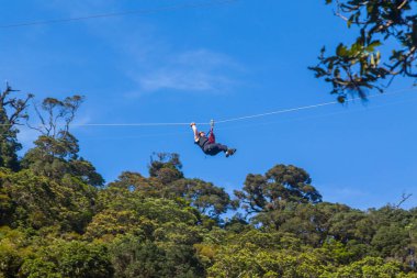 Monteverde, Kosta Rika: genç maceraperest kadın ormanda zip atlıyor. Monteverde, Kosta Rika.