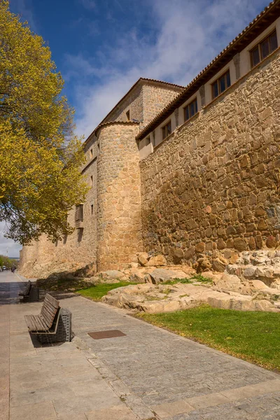 Avila Kastilya Leon Antik Tahkimatı Spanya — Stok fotoğraf
