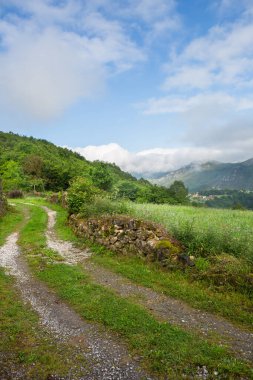 Picos de Europa, Asturias, İspanya 'daki dağlık alanlarda yol