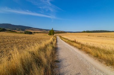 Camino De Santiago boyunca, St. James hac yolu, Navarra, İspanya.