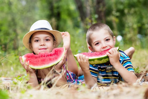 Bambini godendo l'estate e frutta — Foto Stock