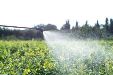 tarımda hastalık kontrolü