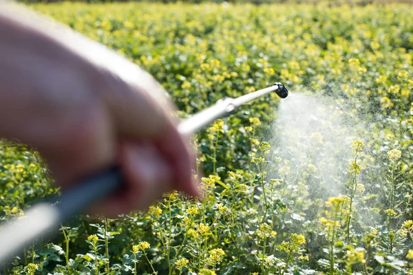 Pulverización en la agricultura — Foto de Stock