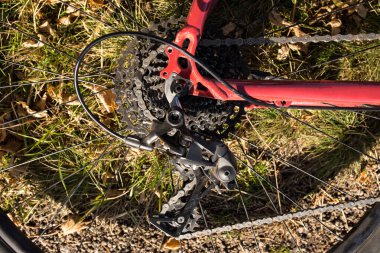 vites değiştiren yıldızlar ve fren pedleri olan arka bisiklet tekerleği