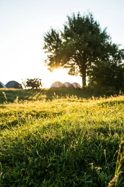 Tent camping at the morning — Stock Photo, Image