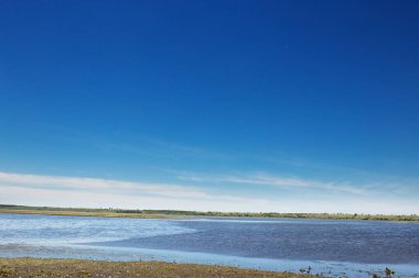 Telif uzayı olan açık mavi gökyüzünün arka planında sığ tuz gölü.