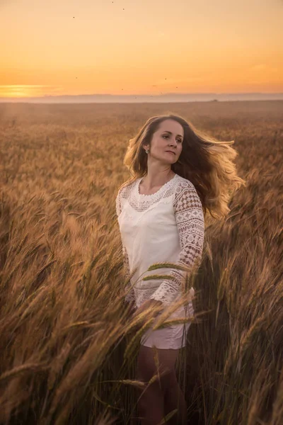 Russian Beauty Wheat Field Sunset — Stock Photo, Image