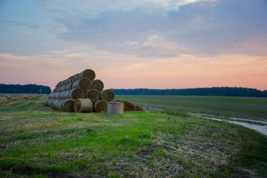 Sonbaharda akşamları günbatımında tarım tarlaları hasat edildi.