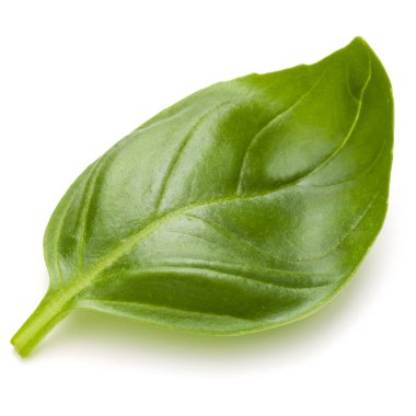 Beyaz arka plan closeup izole fesleğen bitki yaprakları 