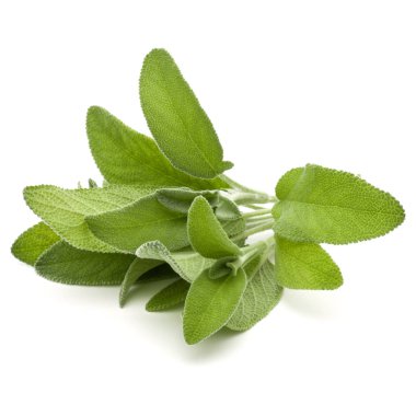 Beyaz arka plan kesme izole buket adaçayı bitki yaprakları.