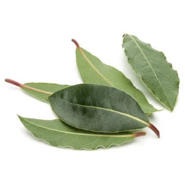 aromatik defne yaprağı 