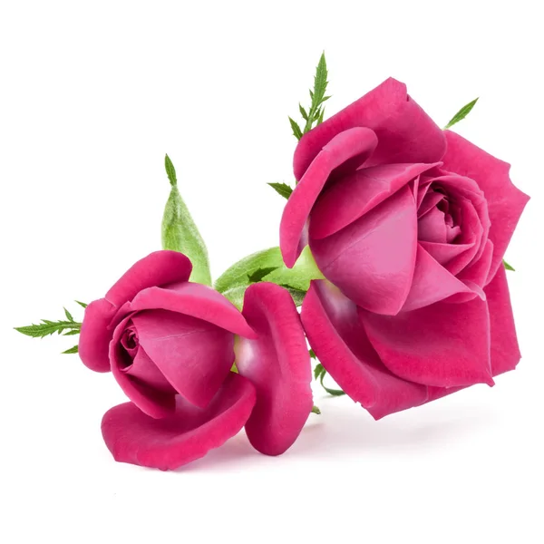 Rosa Rose Blumenstrauß Isoliert Auf Weißem Hintergrund Ausschnitt — Stockfoto
