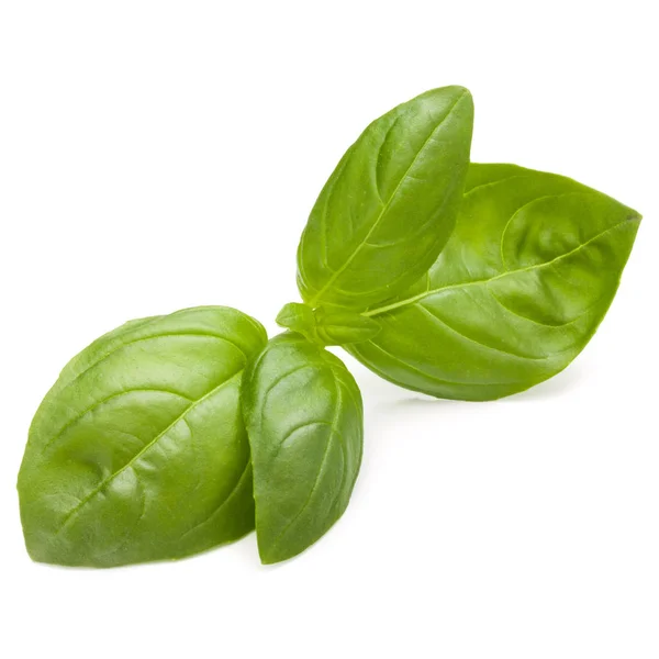 Sweet basil herb leaves isolated on white background closeup — Stock Photo, Image