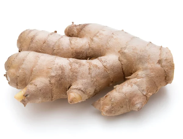 Fresh ginger root or rhizome isolated on white background cutout — Stock Photo, Image