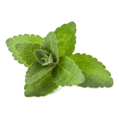 Stevia adet izole om beyaz arka plan kesip bırakır.