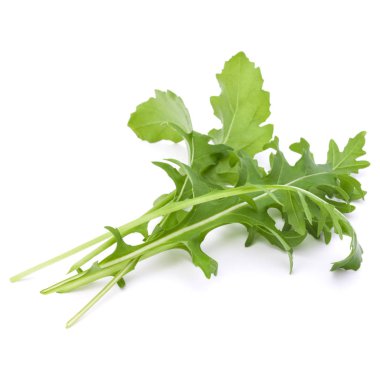 Stüdyo çekim taze rucola yaprakları yeşil wh izole kapatmak