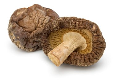 Beyaz arka plan üzerinde izole kurutulmuş shiitake mantar