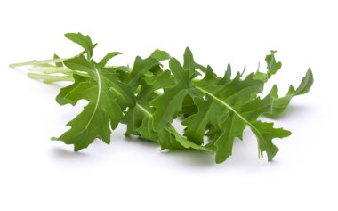 Stüdyo çekim taze rucola yaprakları yeşil wh izole kapatmak