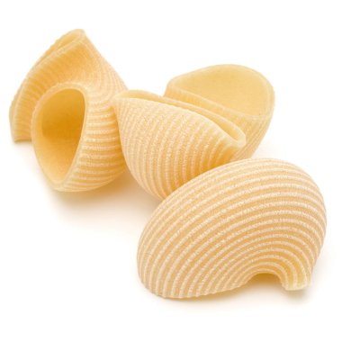 Beyaz arka plan üzerinde izole İtalyan lumaconi. Lumache, snailshe