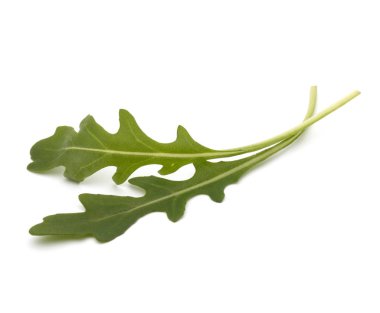 Beyaz arka planda izole edilmiş roket salatası ya da marul yaprakları