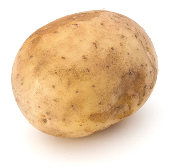 Νέα κονδύλων πατάτας που απομονώνονται σε λευκό φόντο διακοπής — Φωτογραφία Αρχείου