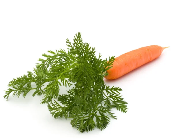 Zanahoria vegetal con hojas aisladas sobre fondo blanco recorte — Foto de Stock