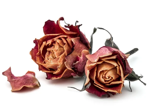 Cabeça de flor rosa seca isolada no recorte de fundo branco — Fotografia de Stock