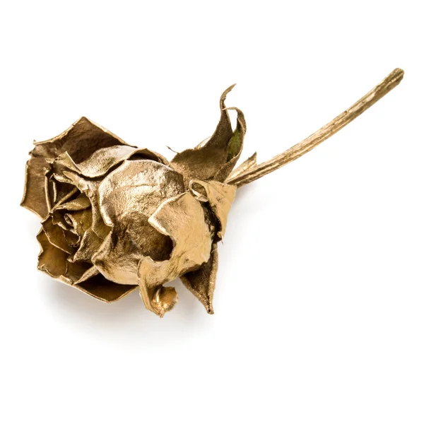 One Gold Rose Isolated White Background Cutout Golden Dried Flower — Stock Photo, Image