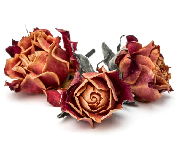 Szárított Rózsa virág fej elszigetelt fehér háttér kivágás — Stock Fotó
