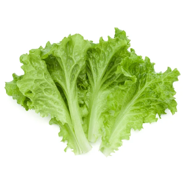 Foglie fresche di insalata di lattuga verde isolate su sfondo bianco — Foto Stock