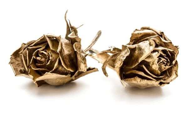 Dos Rosas Doradas Aisladas Sobre Fondo Blanco Recortado Cabezas Flores —  Fotos de Stock