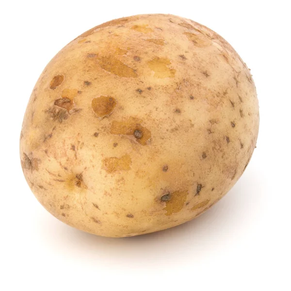 Beyaz arka plan üzerinde kesme izole yeni patates yumru — Stok fotoğraf
