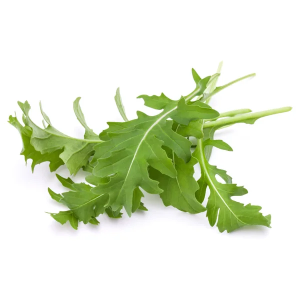 Close Studio Shot Foglie Rucola Fresca Verde Isolato Sfondo Bianco — Foto Stock