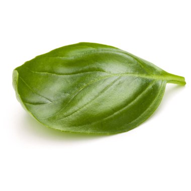 Beyaz arka plan closeup izole fesleğen bitki yaprakları 