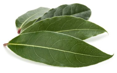 aromatik defne yaprağı 