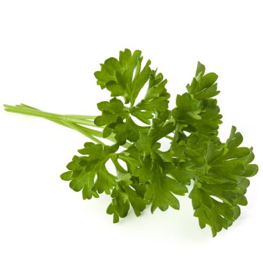 Beyaz arka plan kesme izole demet maydanoz yaprakları