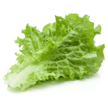 Beyaz arka planda taze yeşil marul salatası yaprakları
