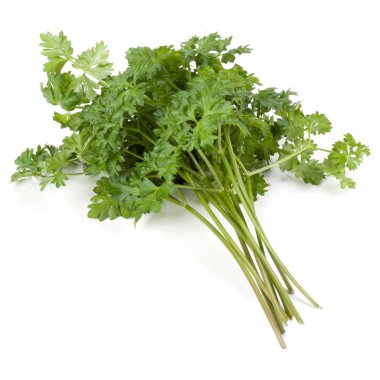 Beyaz arka plan kesme izole demet maydanoz yaprakları 