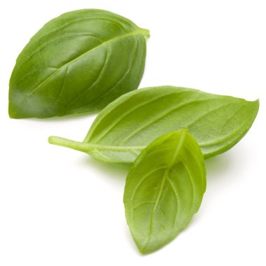 Beyaz arka plan closeup izole fesleğen bitki yaprakları 