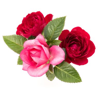 Kırmızı ve pembe Gül çiçek buketi beyaz arka plan kesme izole yeşil yaprakları ile