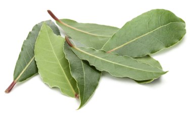 aromatik defne yaprağı 