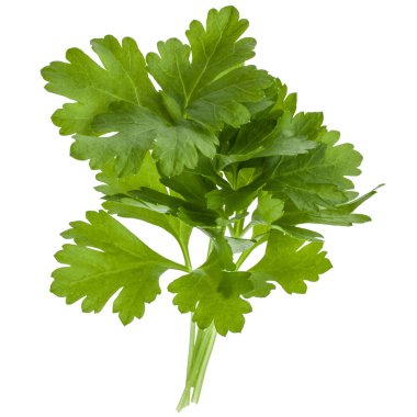 taze maydanoz bitki yaprakları üzerinde beyaz bir arka plan kesme izole 