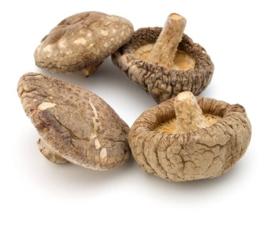 Beyaz arka plan üzerinde izole kurutulmuş shiitake mantar