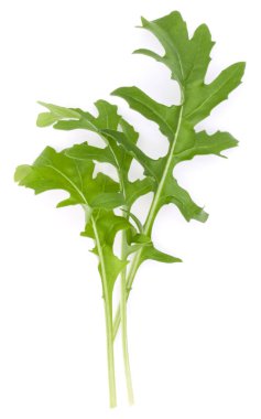 Stüdyo çekim taze rucola yaprakları yeşil wh izole kapatmak
